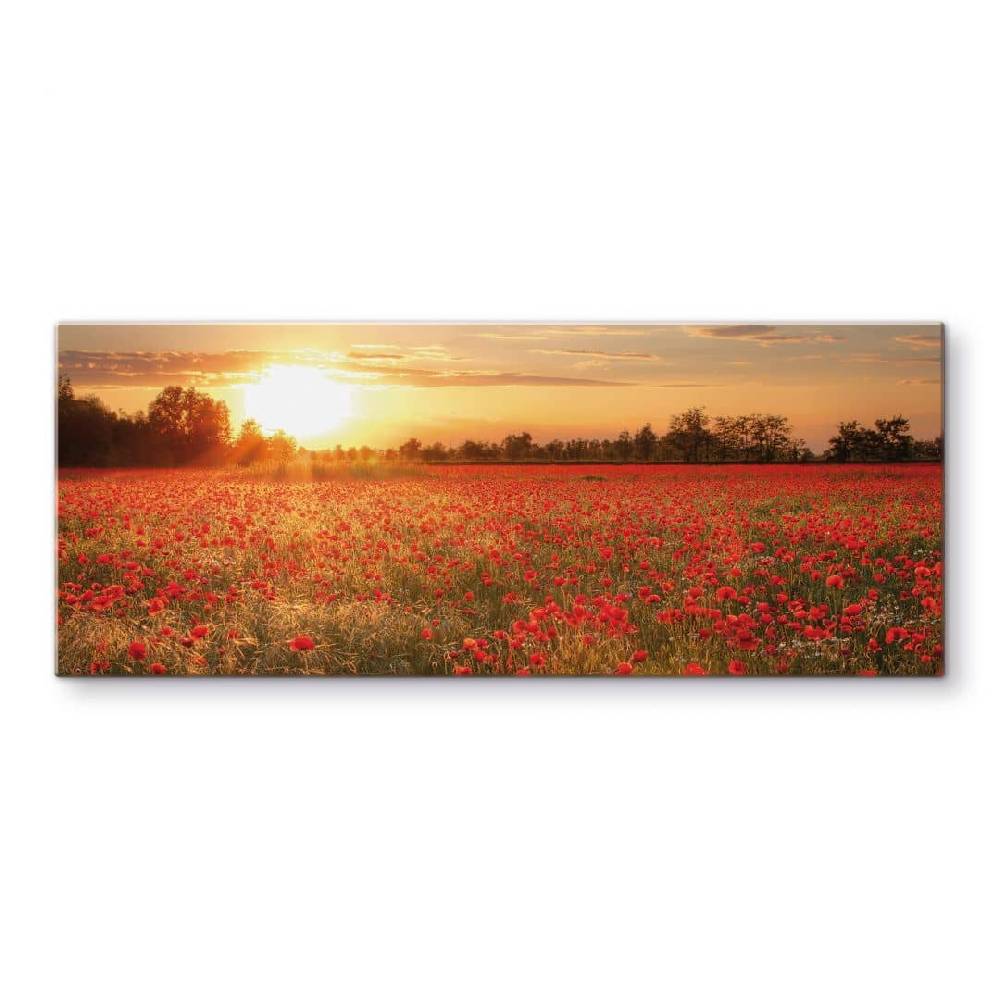 Kaeppel Spritzschutz Mohnfeld im Sonnenuntergang - Panorama Saisonschlussverkauf
