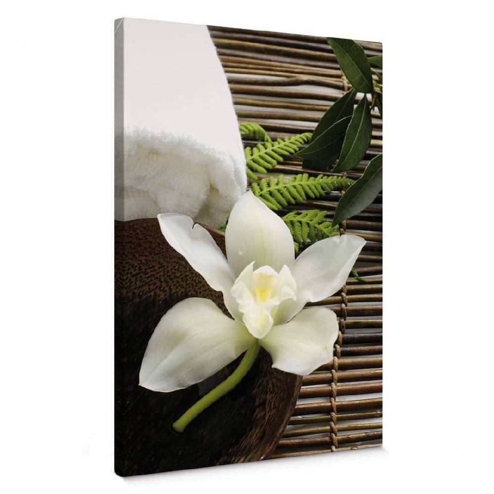 Kaeppel Leinwandbild Wellness Orchidee Riesige Ersparnisse