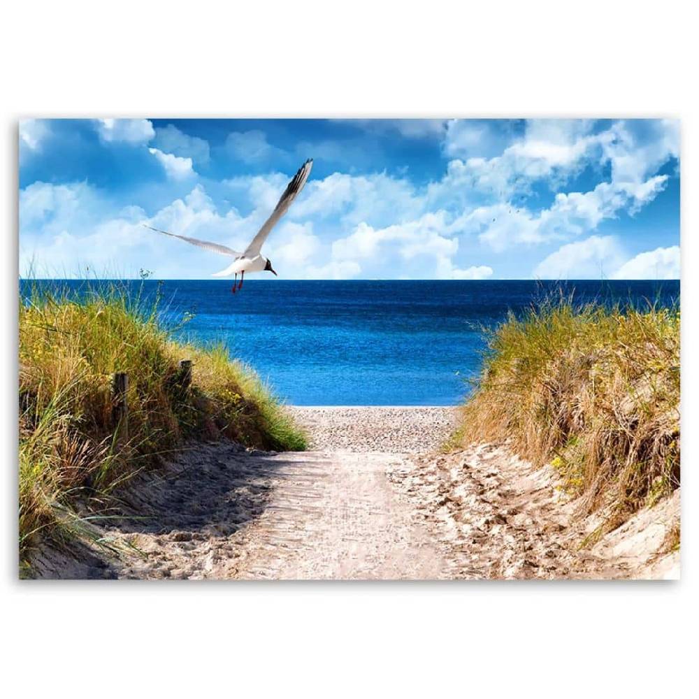Kaeppel Leinwandbild, Weg zum Strand und eine Möwe Zeitbegrenzte Promotion