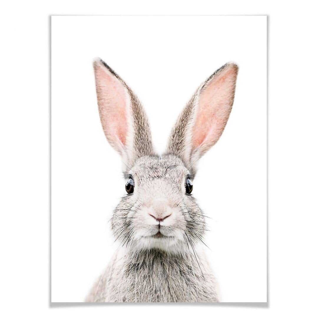 Kaeppel Poster Sisi & Seb - Hasenohren Discount Store für neue Produkte