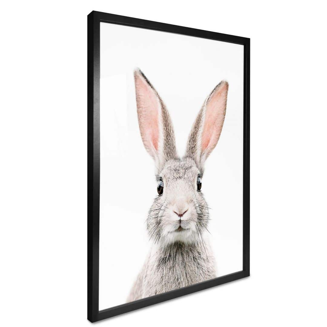 Kaeppel Poster Sisi & Seb - Hasenohren Discount Store für neue Produkte