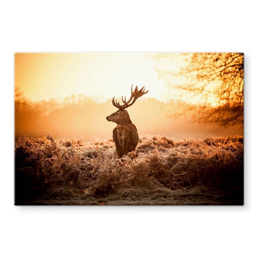 Kaeppel Spritzschutz Majestätischer Hirsch Versandkostenfrei