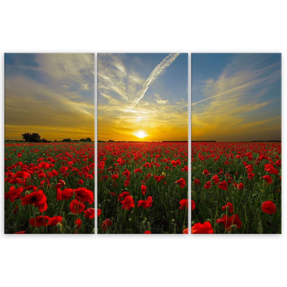 Kaeppel Leinwandbild 3-teilig, Mohnfeld im Sonnenuntergang Heißer Verkauf