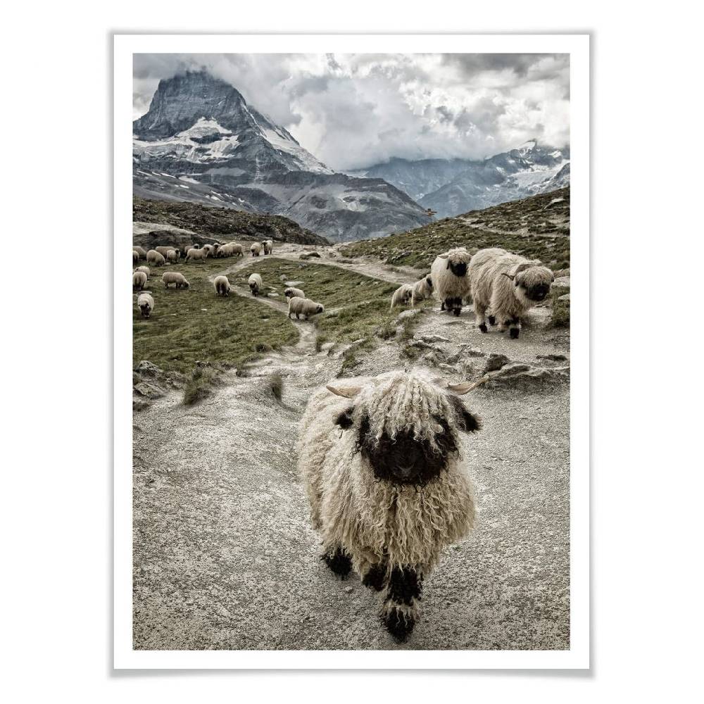 Kaeppel Poster Landolt - Ausflug in die Berge Tägliche Deals