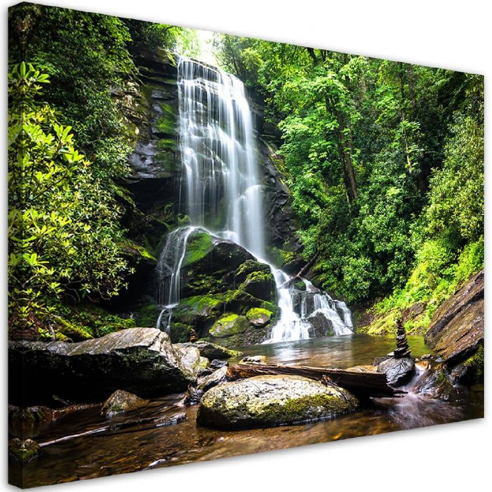 Kaeppel Leinwandbild, Wasserfall im grünen Wald