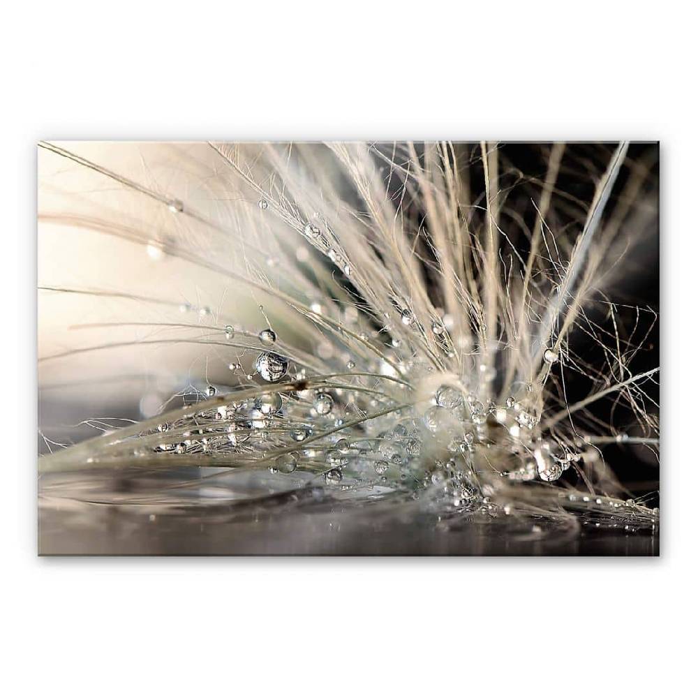 Kaeppel Acrylglasbild Zahirimehr - Story of a Waterdrop - Wassertropfen