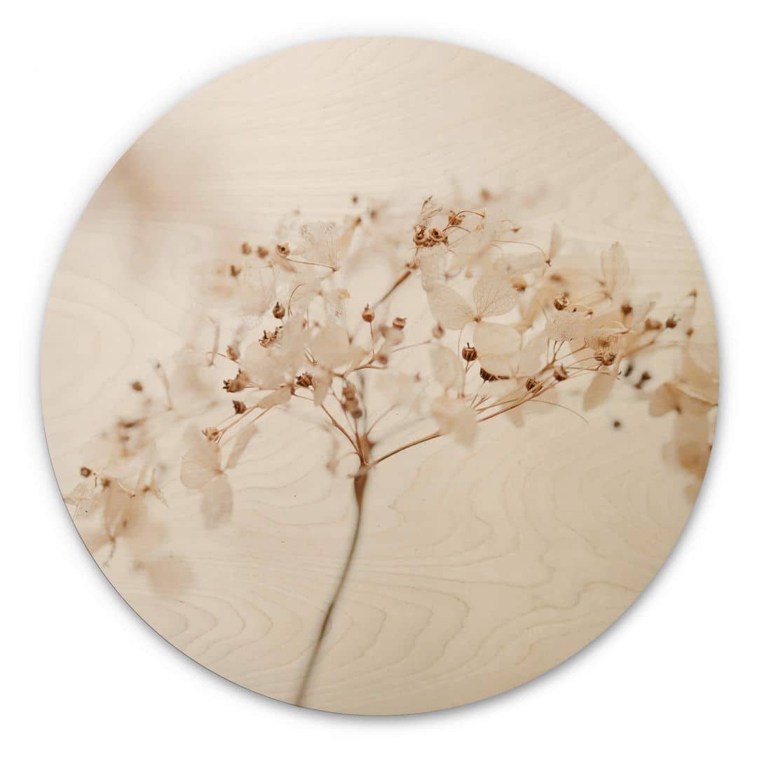 Kaeppel Holzbild 1X Studio - Zweig mit zarten Blüten - Rund