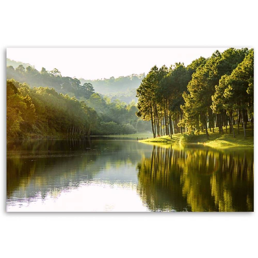 Kaeppel Leinwandbild, Landschaft Waldbaum Natur Versandkostenfrei