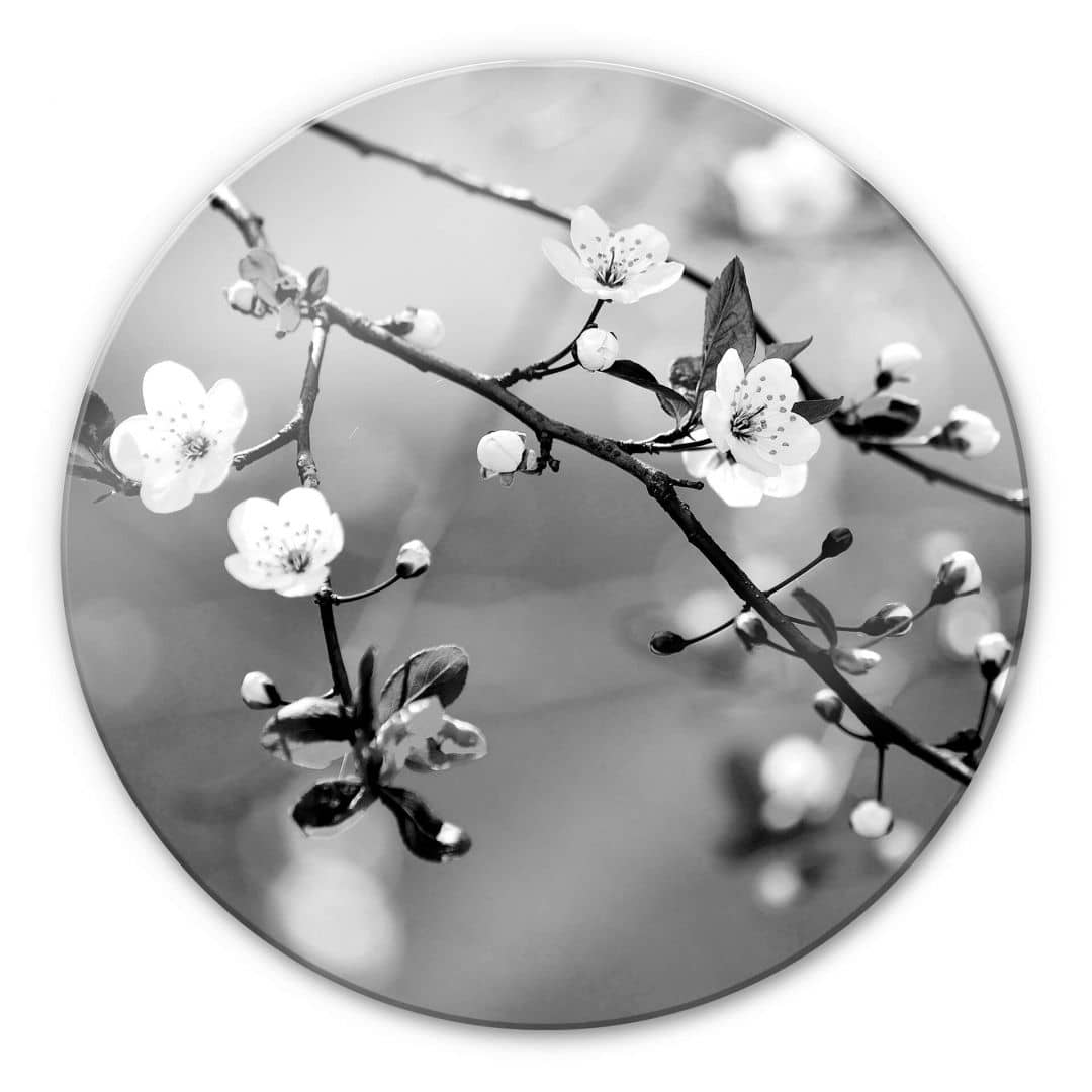 Kaeppel Glasbild Frühlingserwachen - rund Begrenztes Angebot