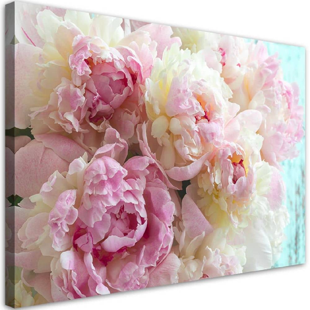 Kaeppel Leinwandbild, Rosa Pfingstrosenblumen Neuheiten