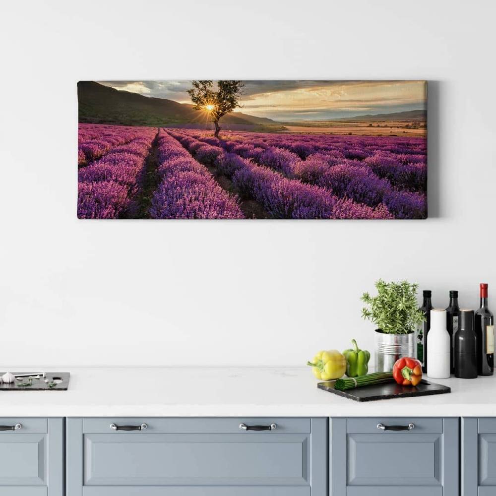 Kaeppel Leinwandbild Lavendelblüte in der Provence - Panorama 01 VIP-Rabatte