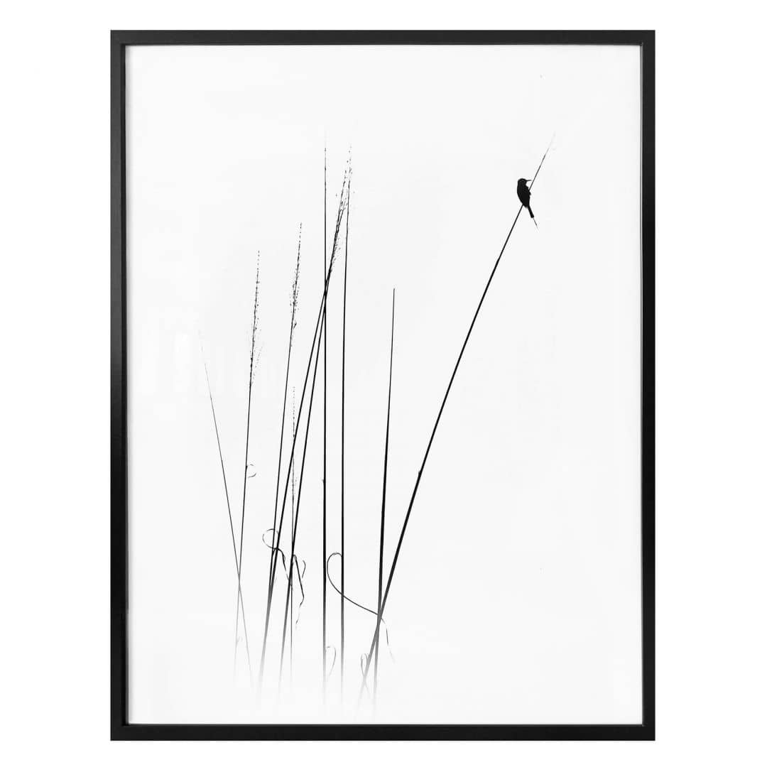 Kaeppel Poster Swapnil - Auszeit