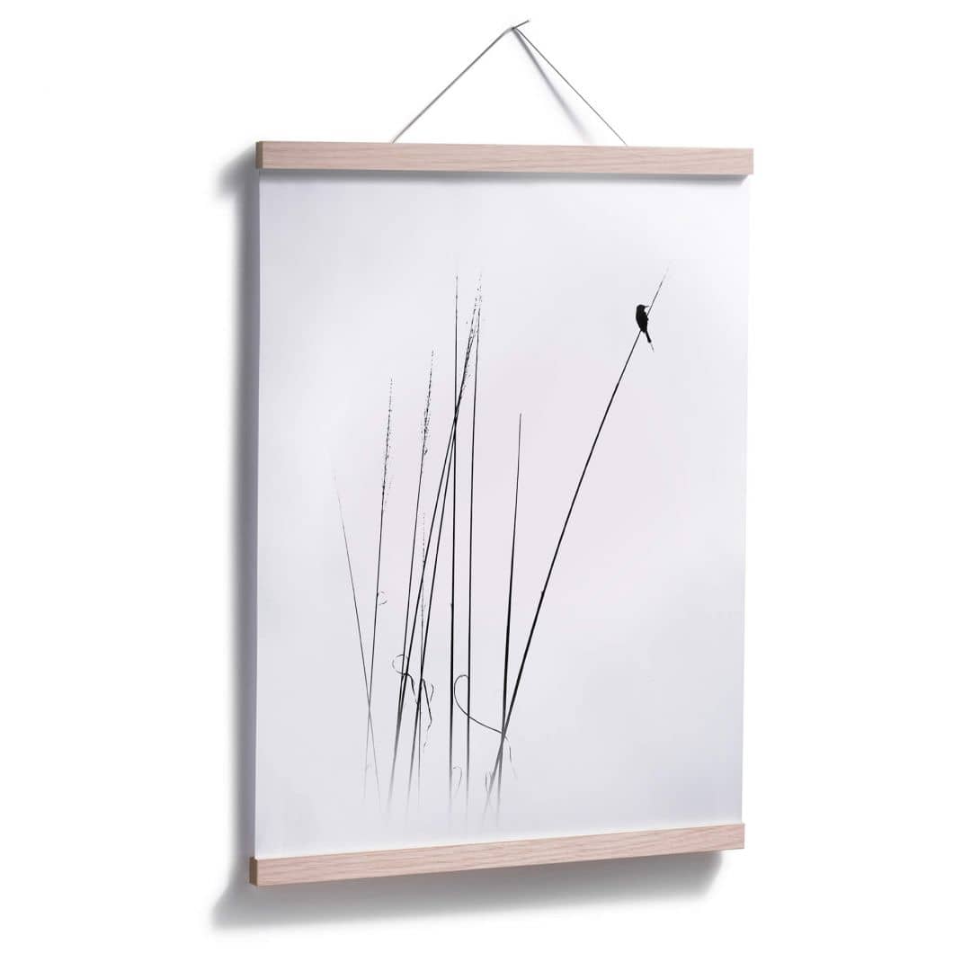Kaeppel Poster Swapnil - Auszeit Tiefpreis