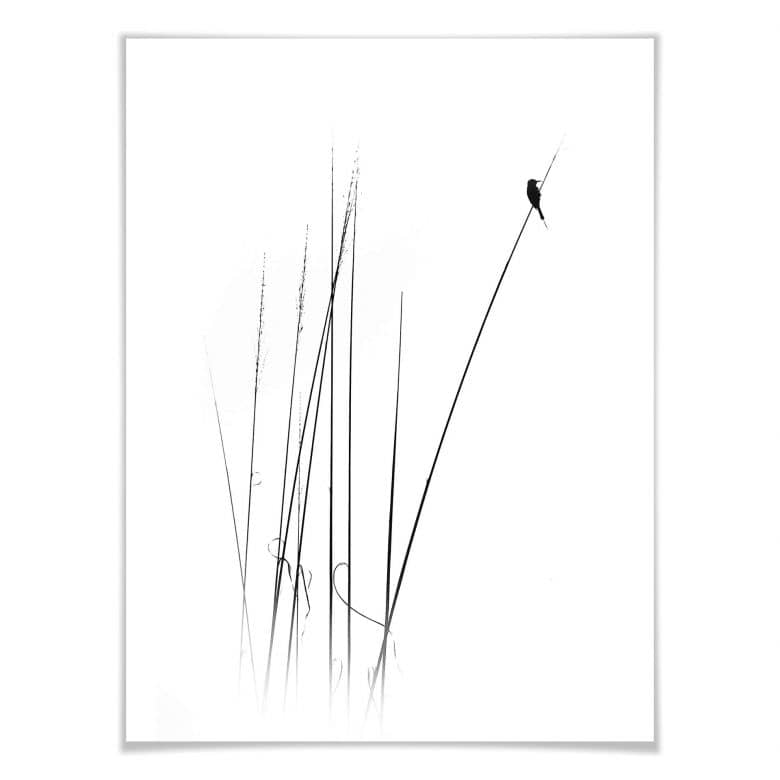 Kaeppel Poster Swapnil - Auszeit Tiefpreis