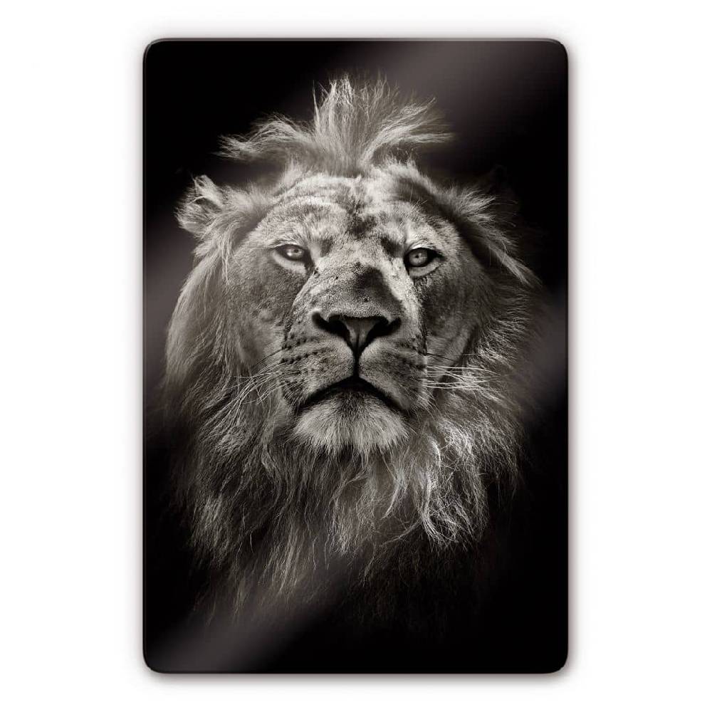 Kaeppel Glasbild Lion