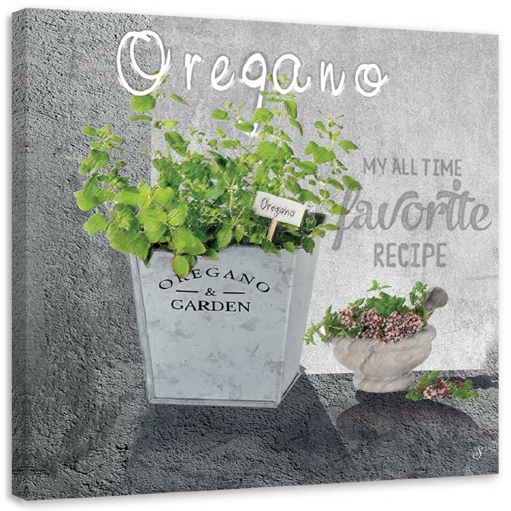 Kaeppel Leinwandbild, Oregano Küchen Gewürze