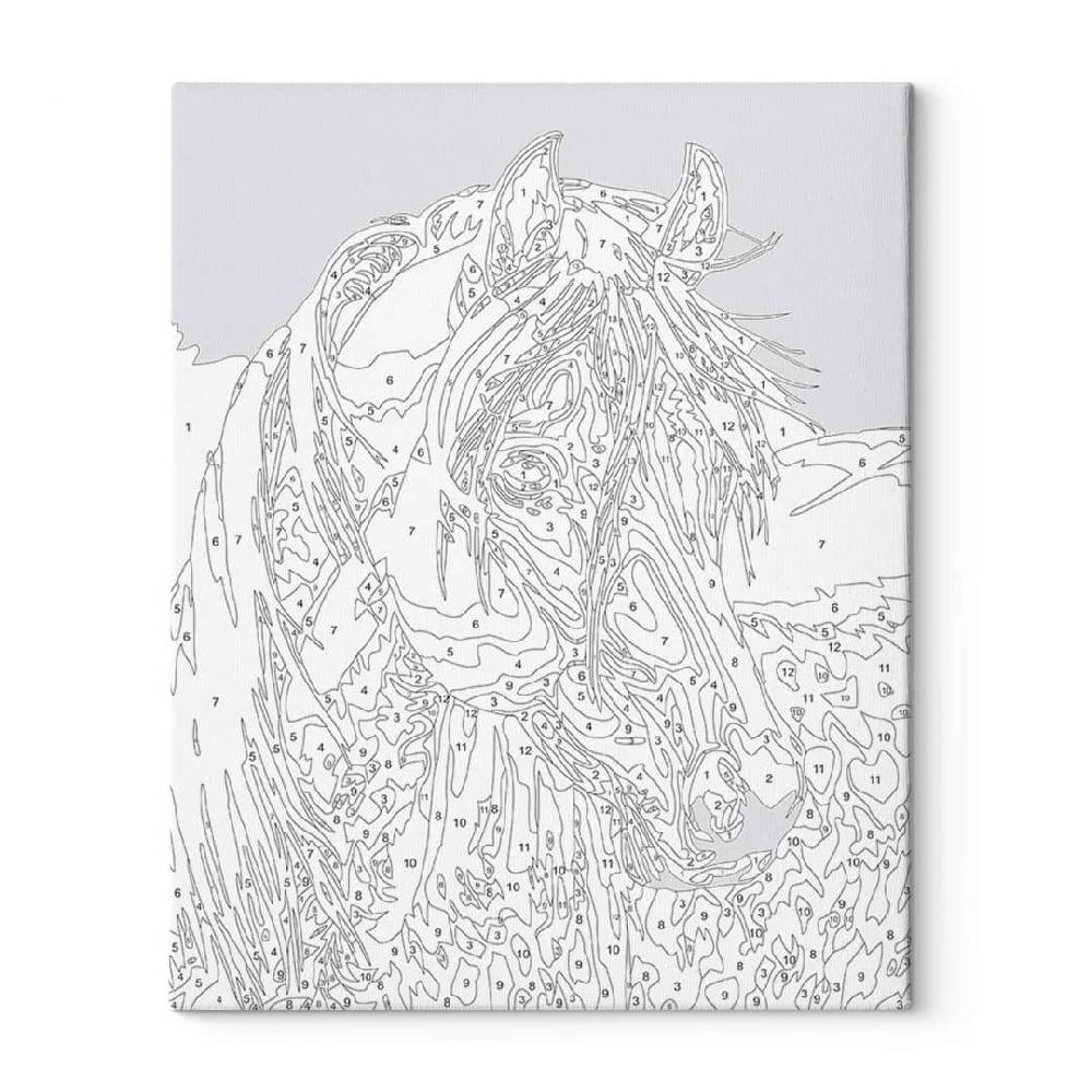 Kaeppel Malen nach Zahlen Leinwandbild - Pferd - 40x50 cm - mit Keilrahmen - bespannt Kauf eins, bekomm eins gratis