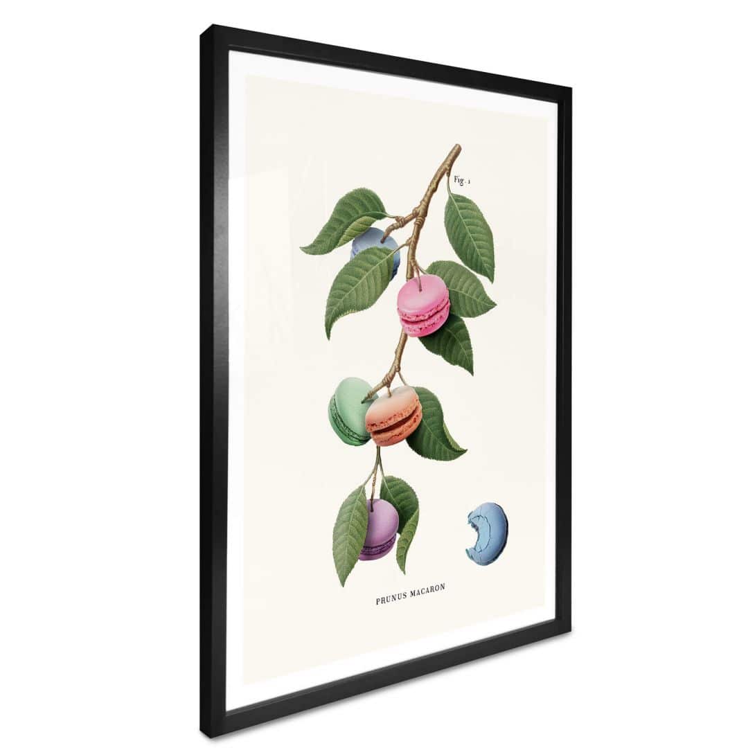 Kaeppel Poster Loose - Macaron Pflanze Begrenzte Freigabe