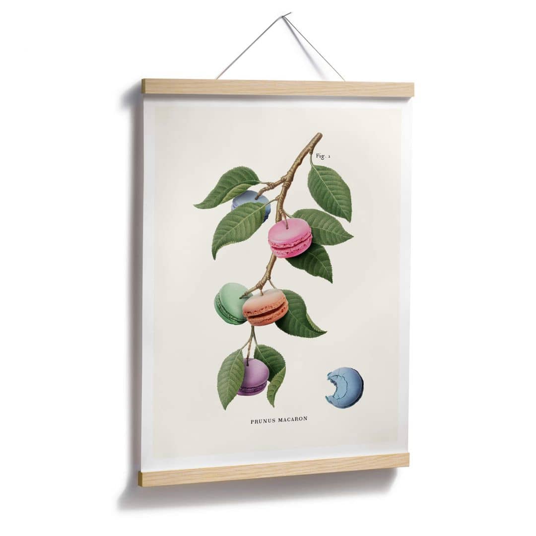 Kaeppel Poster Loose - Macaron Pflanze Begrenzte Freigabe
