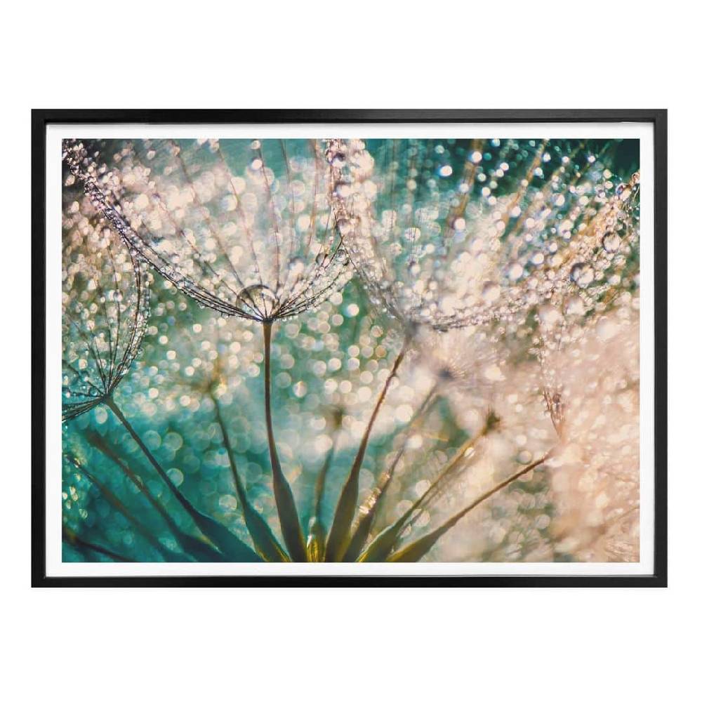 Kaeppel Poster Delgado - Funkelnde Pusteblume