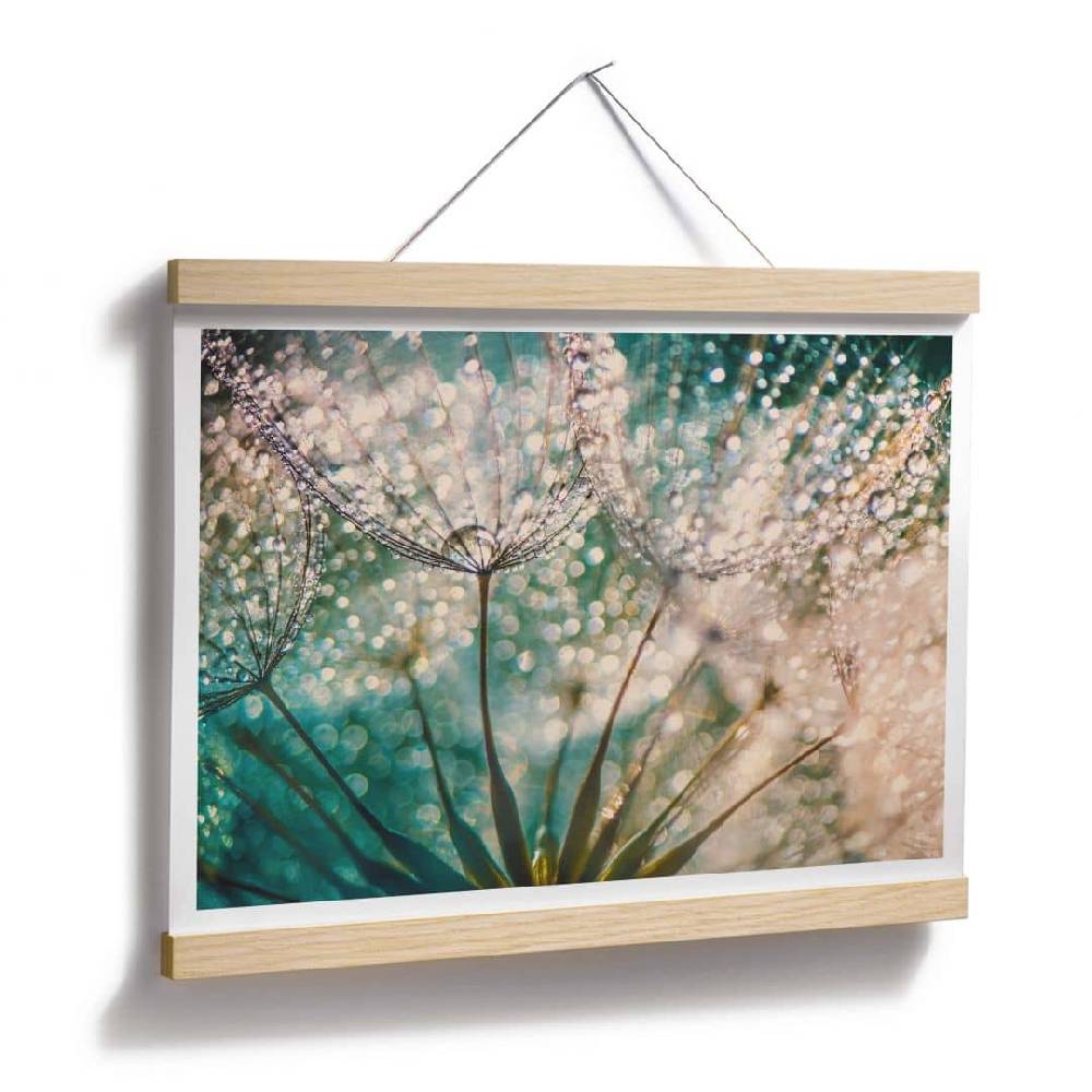 Kaeppel Poster Delgado - Funkelnde Pusteblume Letzte 2 Tage