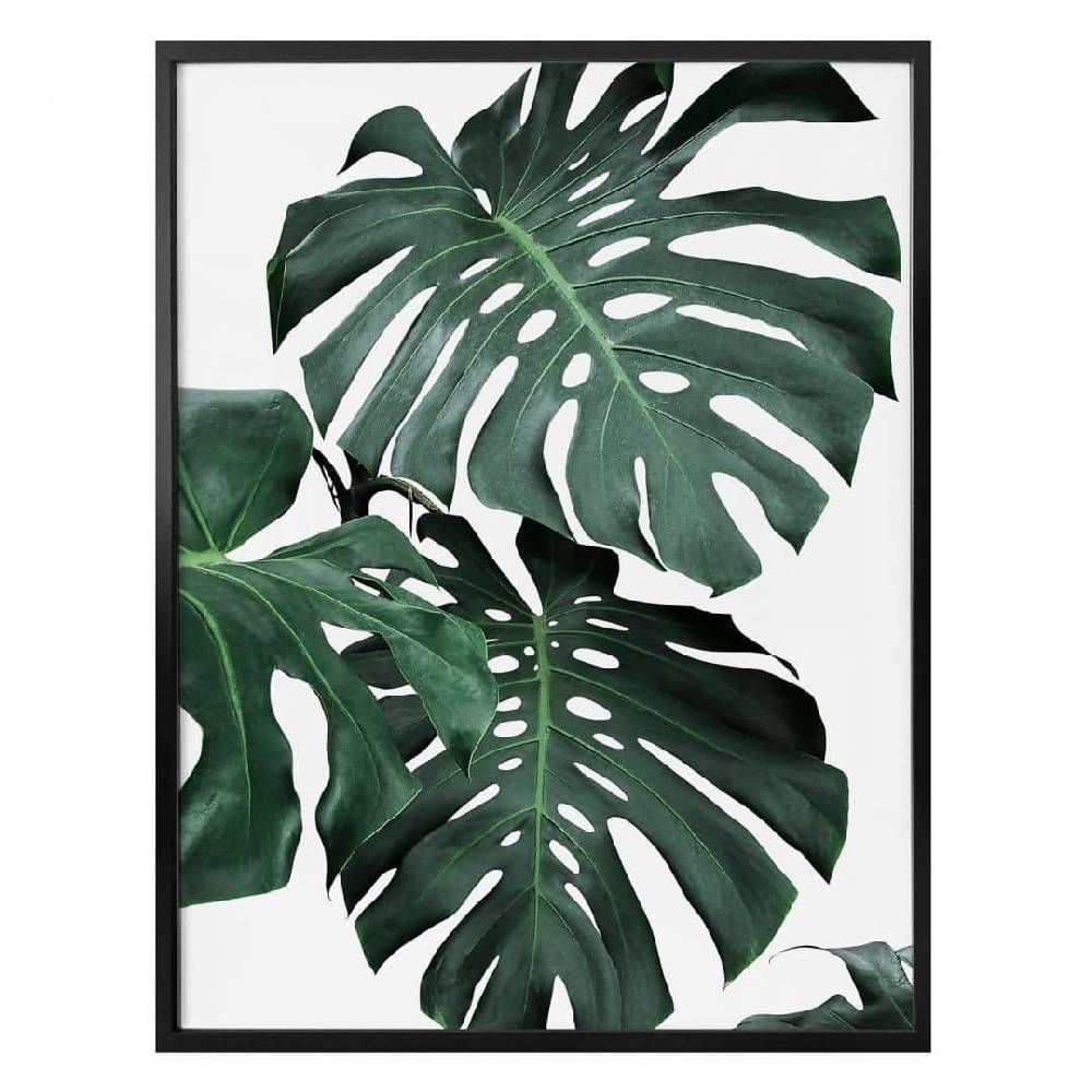 Kaeppel Poster Sisi & Seb - Monstera