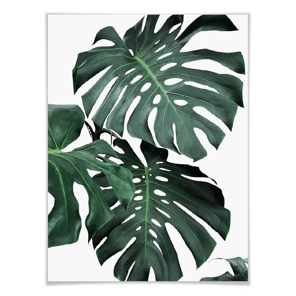 Kaeppel Poster Sisi & Seb - Monstera Zeitbegrenzte Promotion