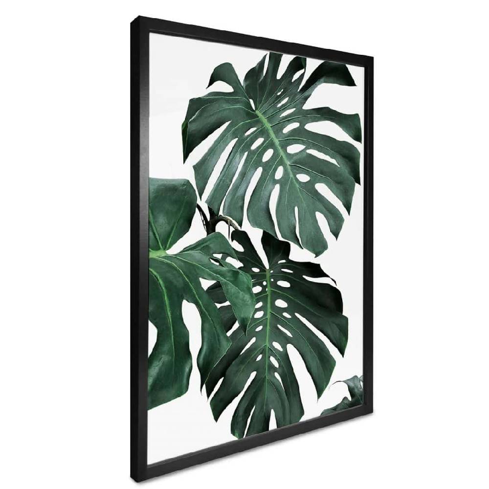Kaeppel Poster Sisi & Seb - Monstera Zeitbegrenzte Promotion