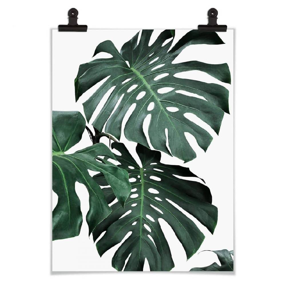 Kaeppel Poster Sisi & Seb - Monstera Zeitbegrenzte Promotion