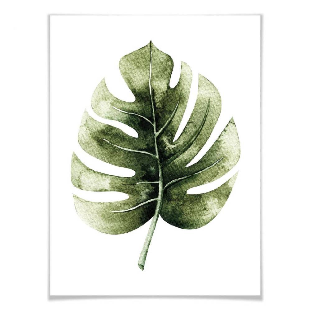Kaeppel Poster Kvilis - Monstera Leaf Bis zu 55% Rabatt