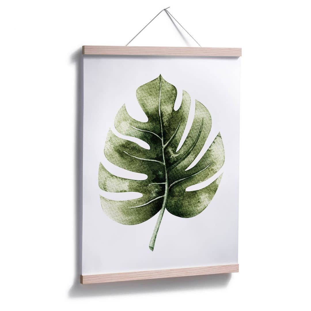 Kaeppel Poster Kvilis - Monstera Leaf Bis zu 55% Rabatt
