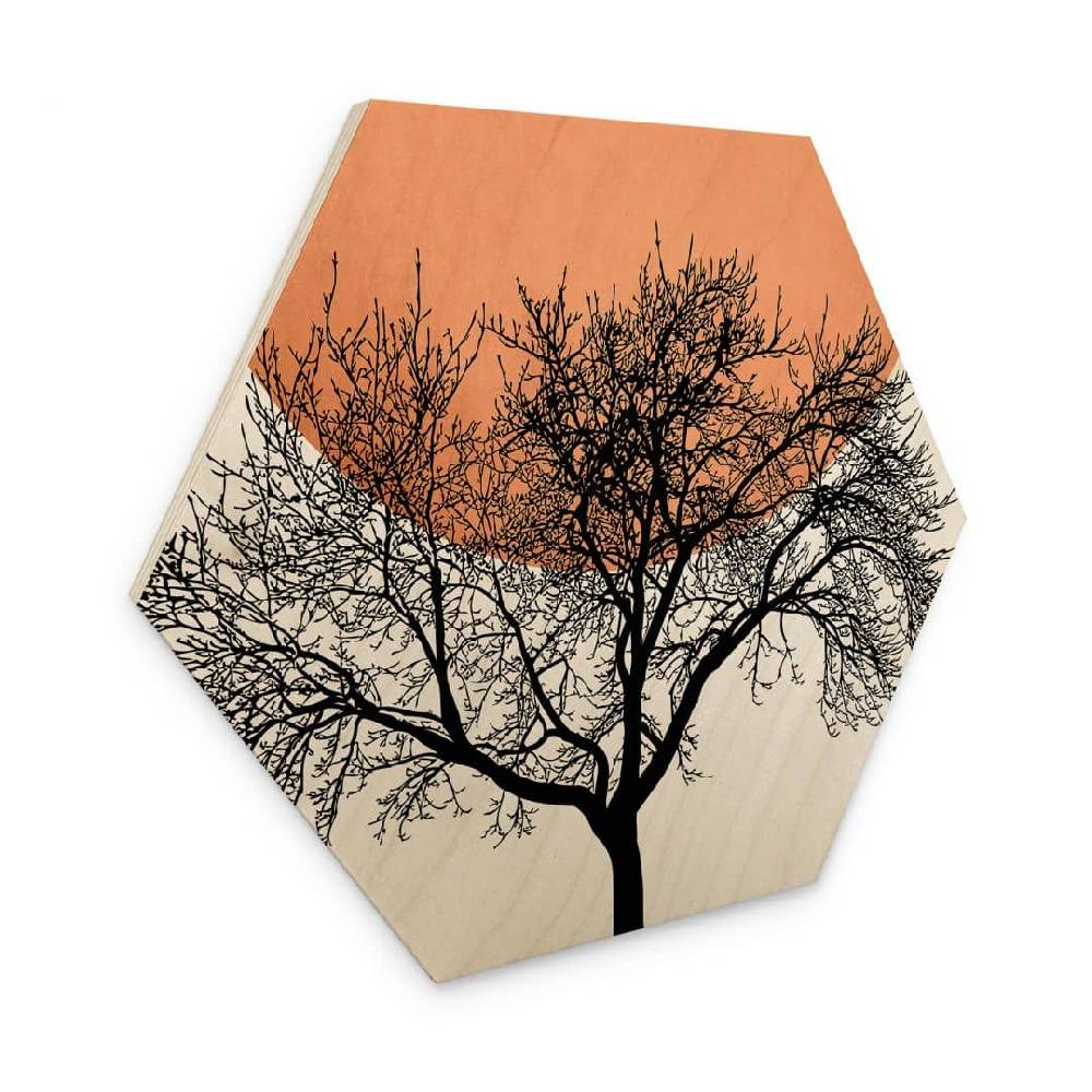 Kaeppel Hexagon Holzbild Wintermorgen in Pfirsichfarben - Kubistika Discount Store für neue Produkte