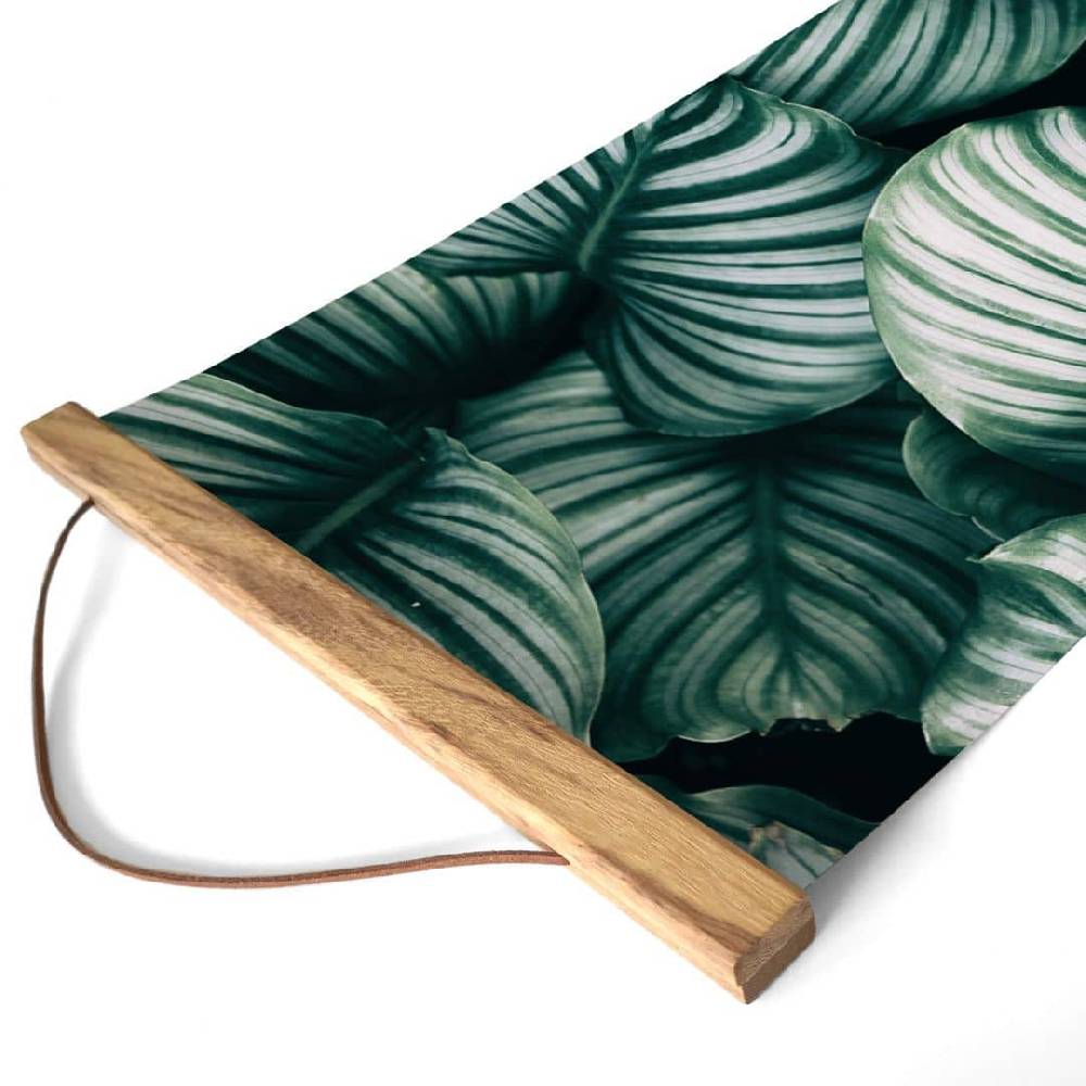 Kaeppel Stoffbild Urban Jungle - Calathea Orbifolia Günstiger Verkauf