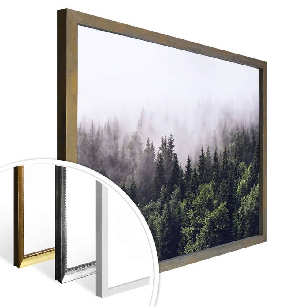 Kaeppel Poster Nebliger Wald Exklusive Angebote