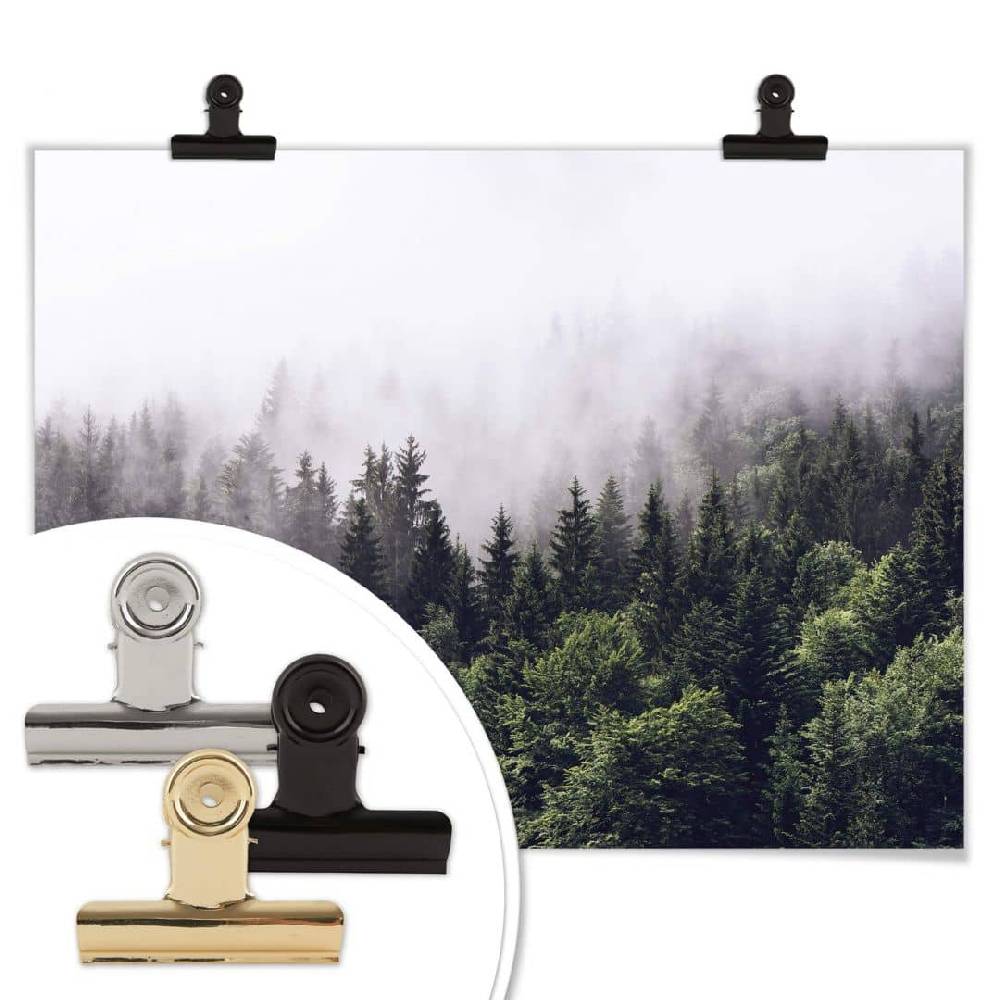 Kaeppel Poster Nebliger Wald Exklusive Angebote