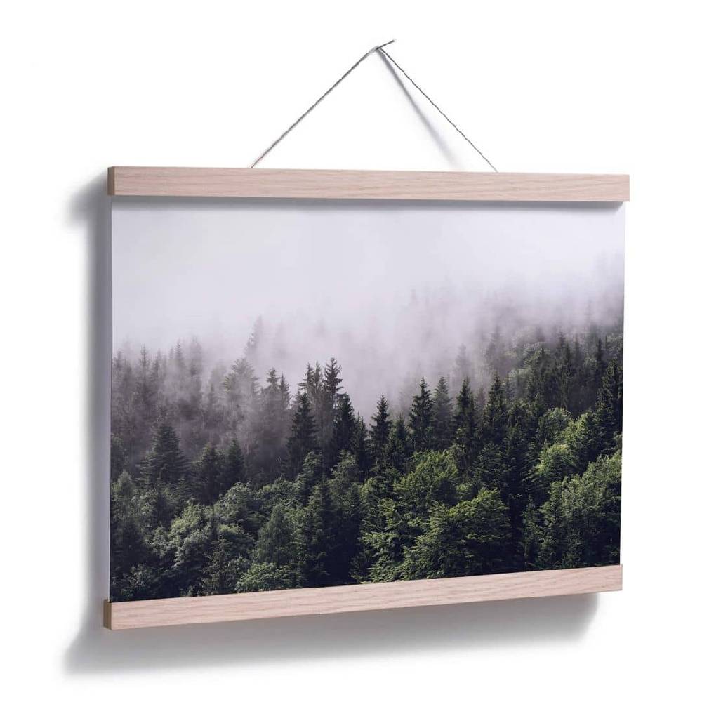 Kaeppel Poster Nebliger Wald Exklusive Angebote