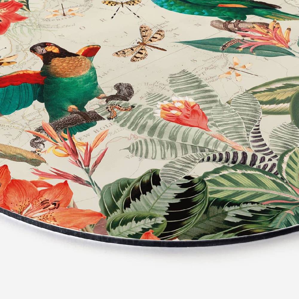 Kaeppel Wandbild Exotischer Dschungel mit Papageien - UN Designs - Alu-Dibond - Rund Riesige Ersparnisse
