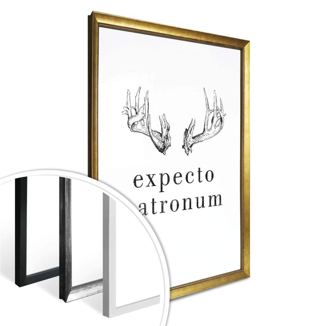 Kaeppel Poster - Expecto Patronum zollfrei
