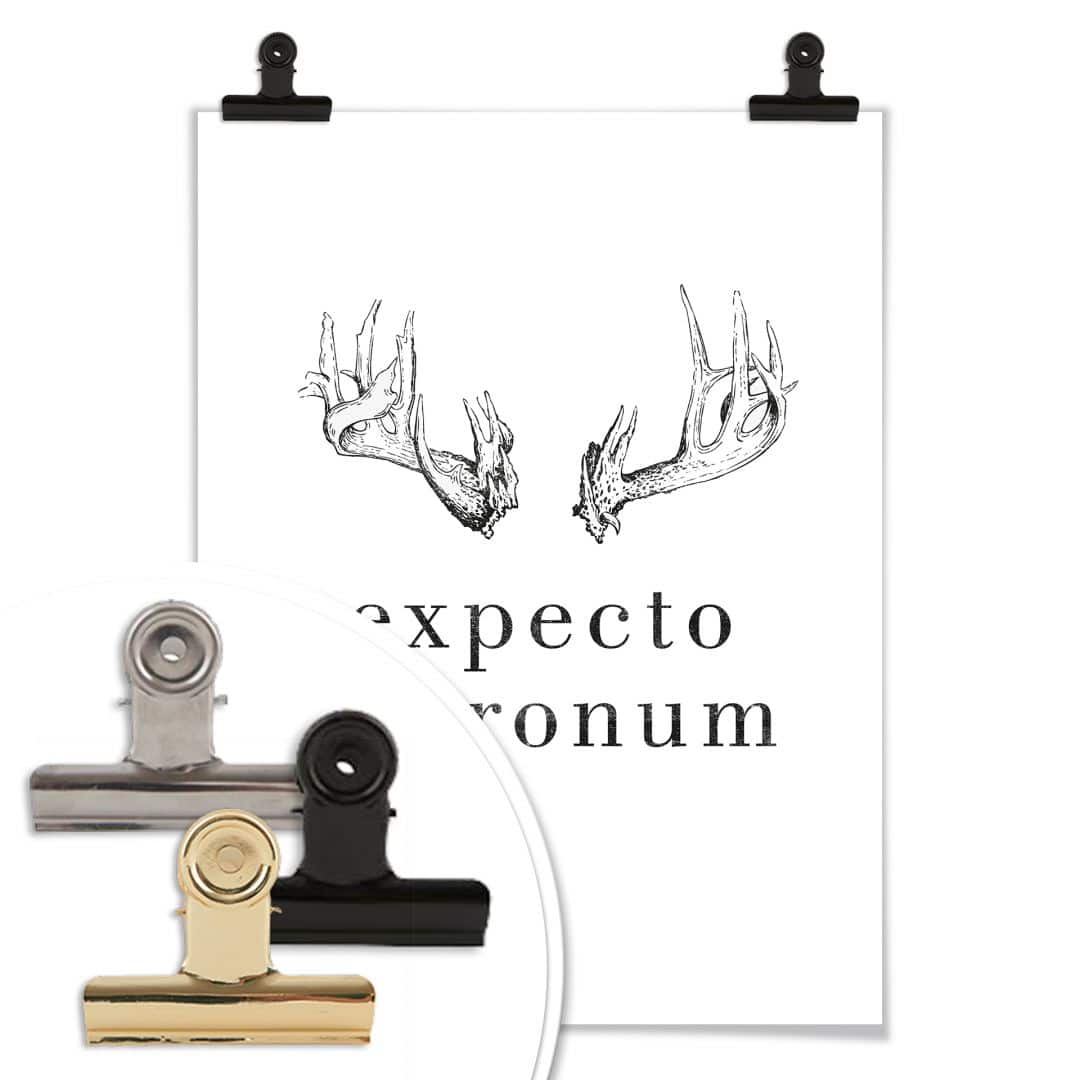 Kaeppel Poster - Expecto Patronum zollfrei