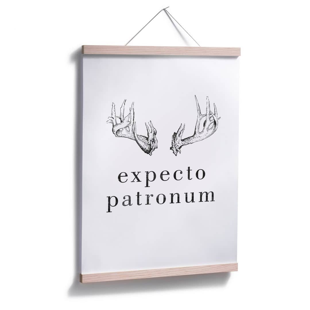 Kaeppel Poster - Expecto Patronum zollfrei