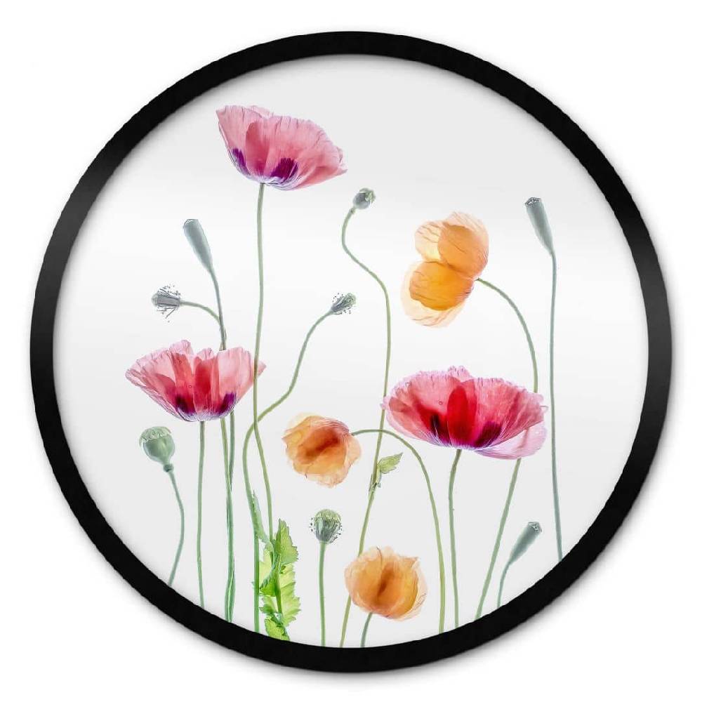 Kaeppel Poster Bunte Mohnblumen Rund - Disher Angebote