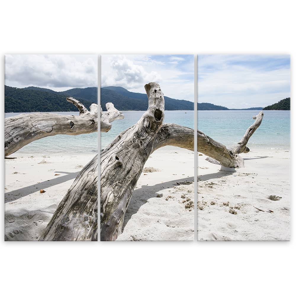 Kaeppel Leinwandbild 3-teilig, Meer Sand Strand Baum im Angebot