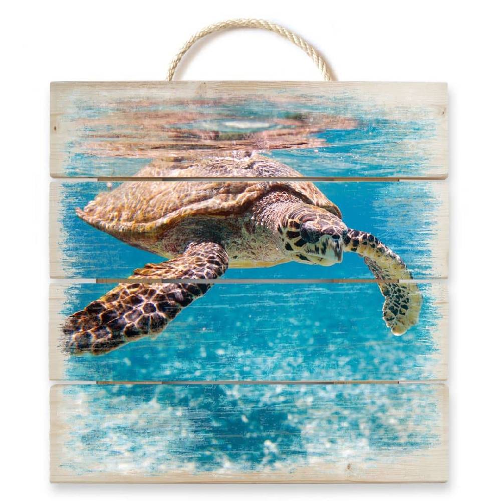 Kaeppel Holzbild Schildkröte auf Reisen Meist gekauft