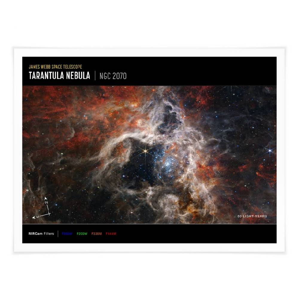 Kaeppel Poster James Webb Telescope - Tarantula Nebula Compass Preisnachlass