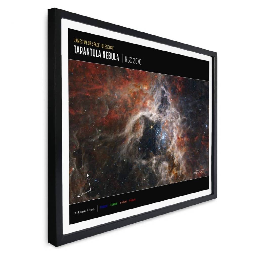 Kaeppel Poster James Webb Telescope - Tarantula Nebula Compass Preisnachlass