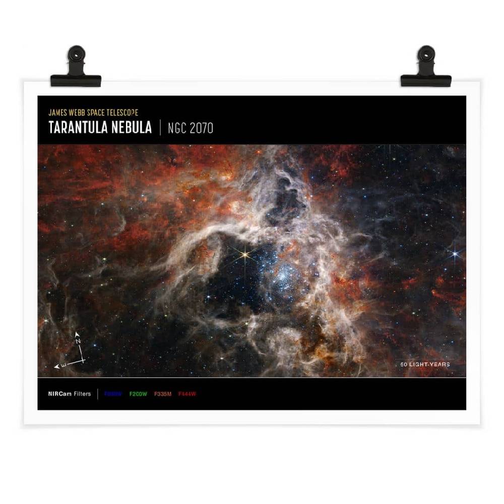 Kaeppel Poster James Webb Telescope - Tarantula Nebula Compass Preisnachlass