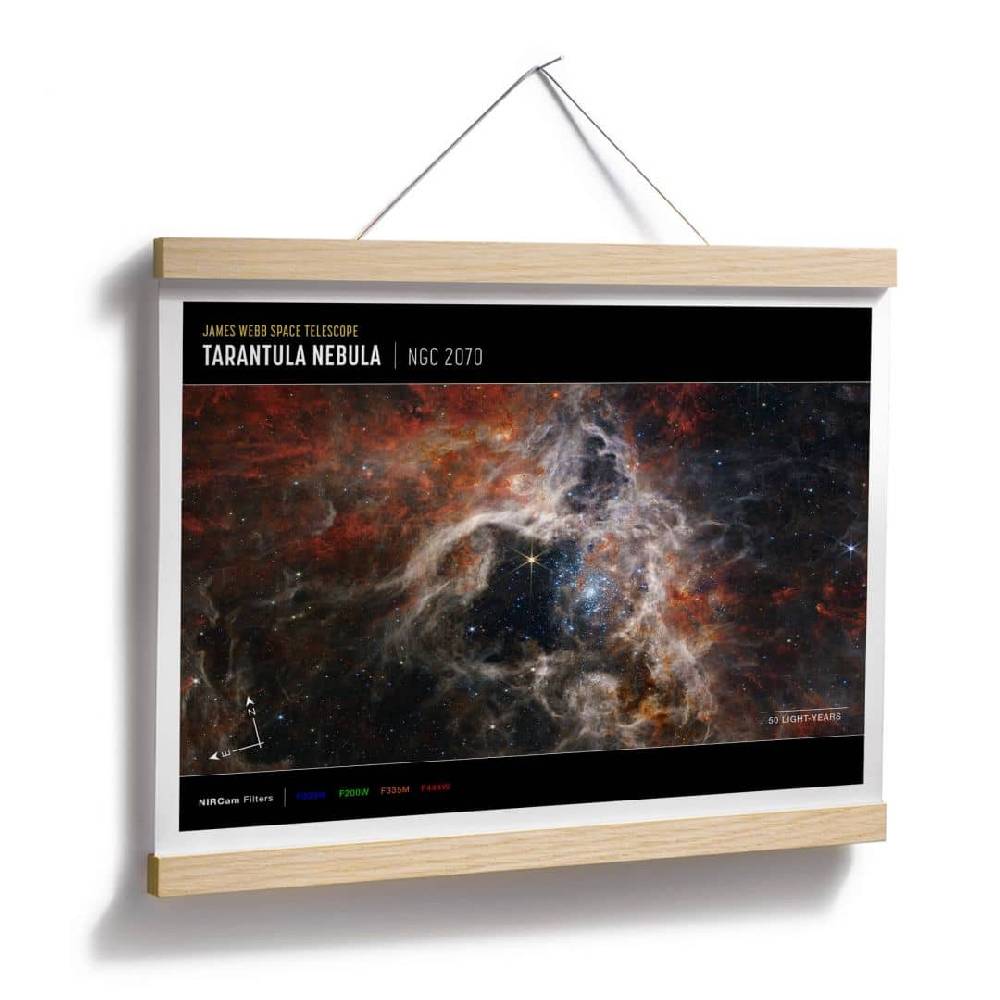 Kaeppel Poster James Webb Telescope - Tarantula Nebula Compass Preisnachlass