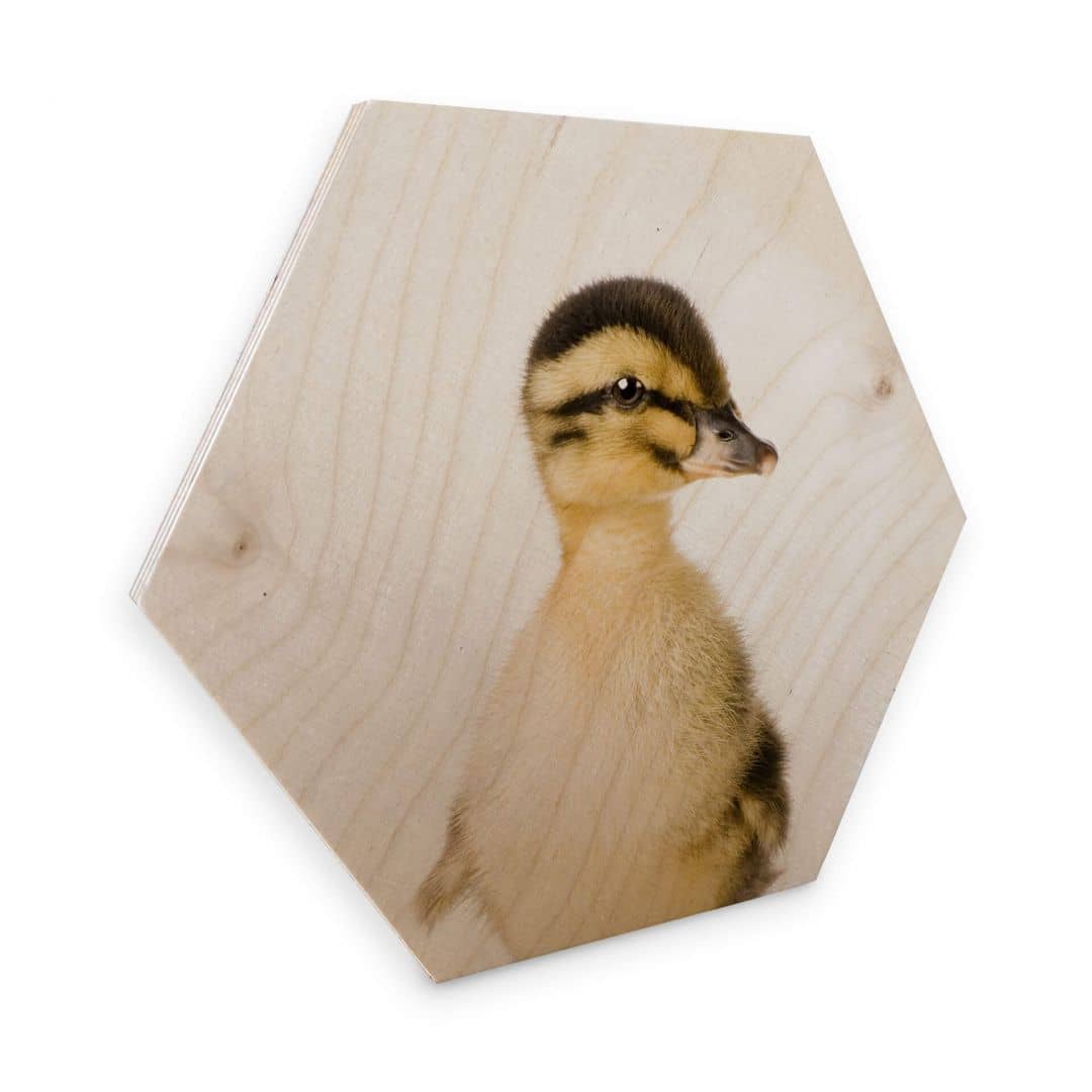Kaeppel Hexagon - Holz Sisi & Seb - Entenküken Jubiläumsangebot