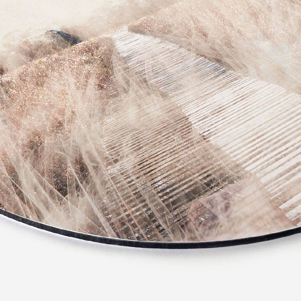 Kaeppel Wandbild Verträumte Landschaft mit Holzsteg - Imaginative - Alu-Dibond - Rund Exklusive Angebote