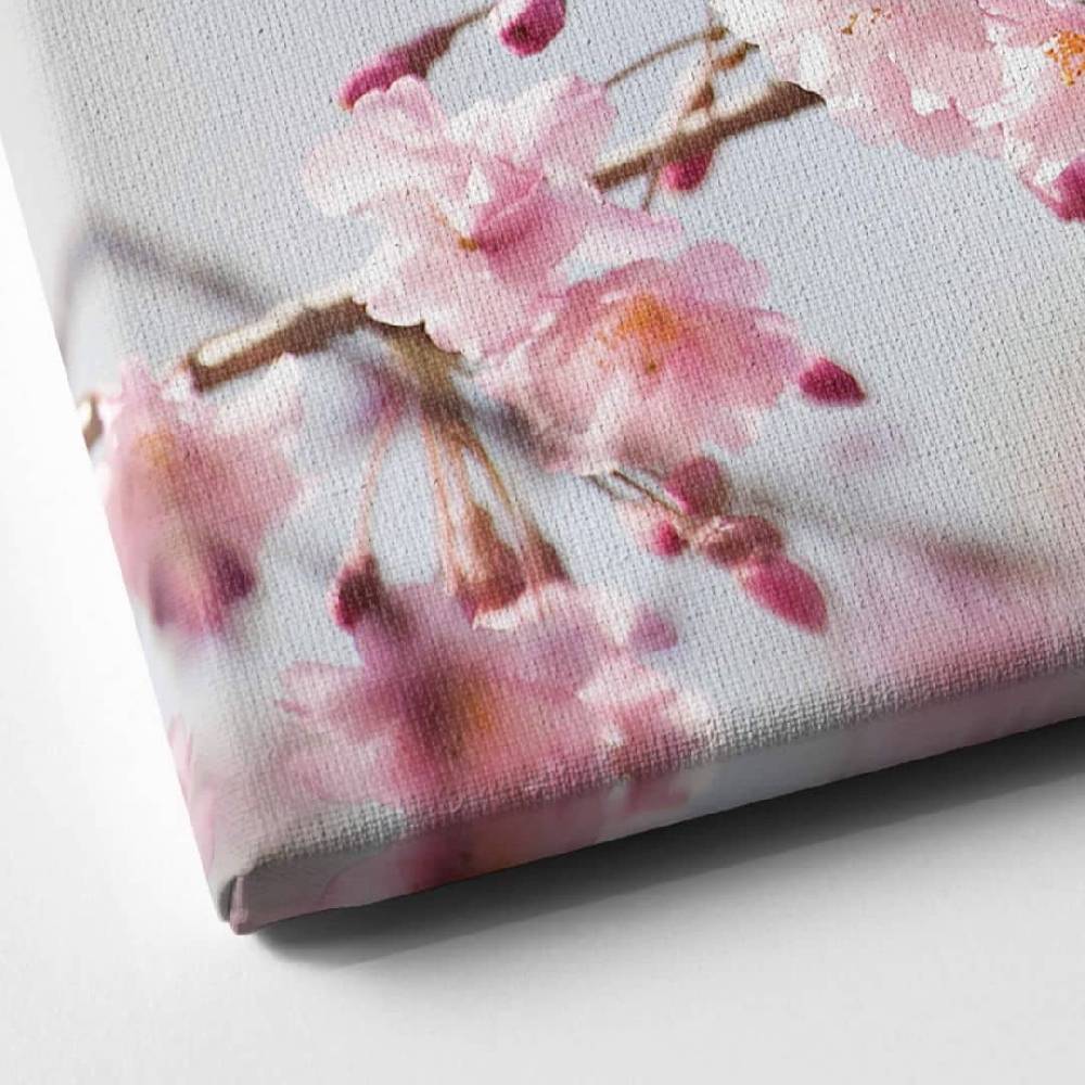 Kaeppel Leinwandbild Cherry Blossoms Panorama Riesige Ersparnisse